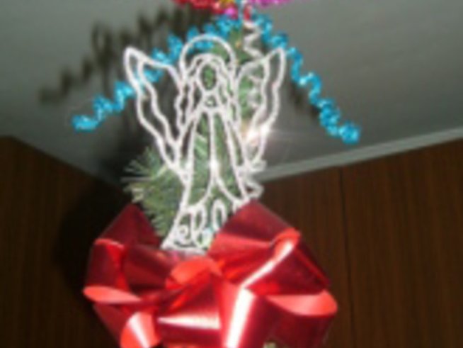 Блестящи лули – елхови красоти