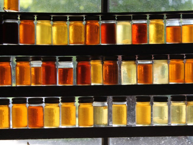 Кленов сироп. Снимка: Sxc.hu