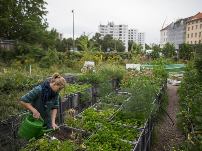 Снимка: Reuters