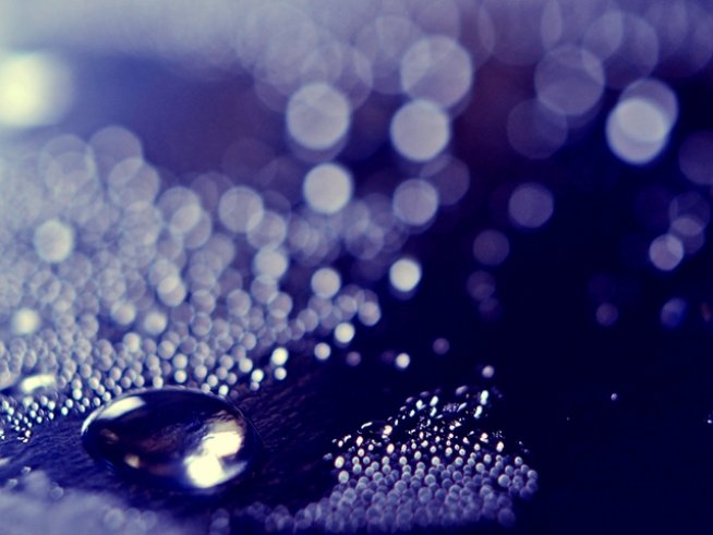 Снимка: Sxc.hu