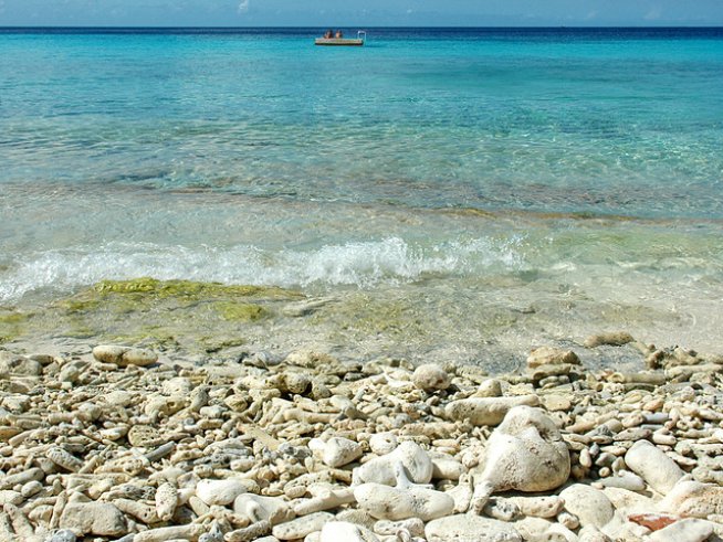 Снимка: Sxc.hu