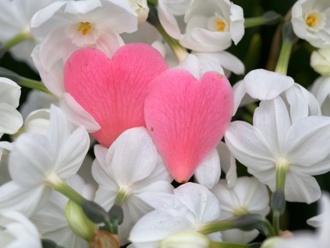 Снимка: Sxc.hu