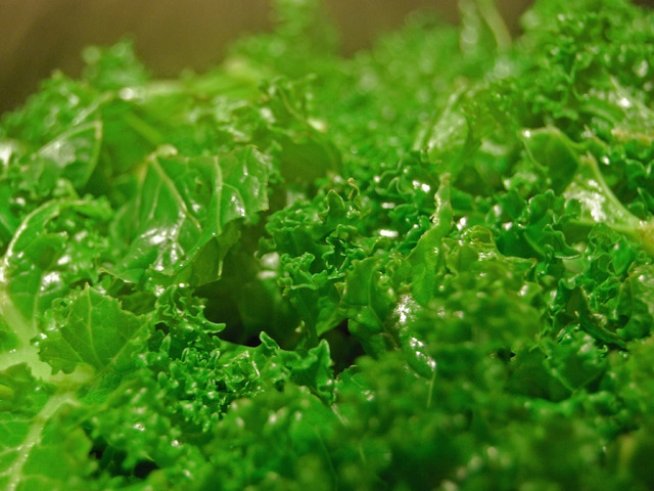 Снимка: Sxc.hu