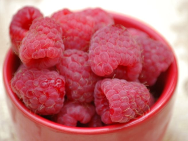 Снимка: Sxc.hu