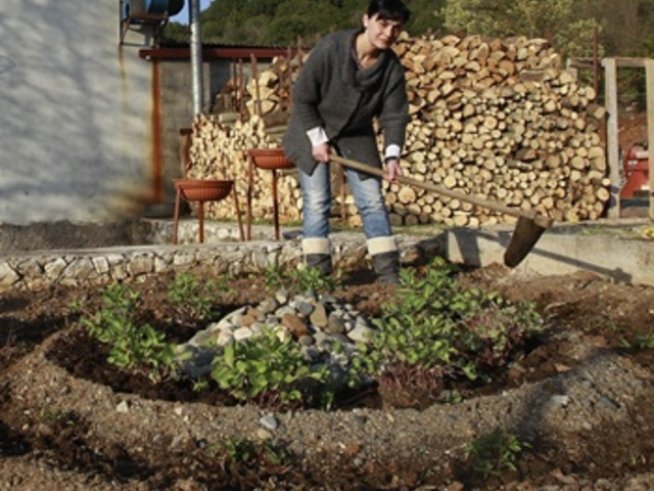 Подивяла почва – как да се справим