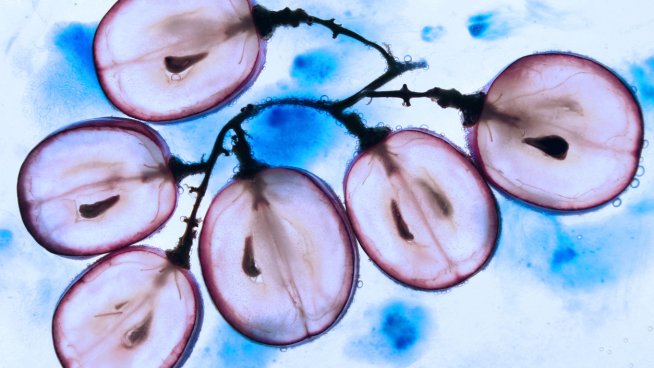 По-красива и здрава кожа с помощта на червено и бяло грозде. Снимка: istock