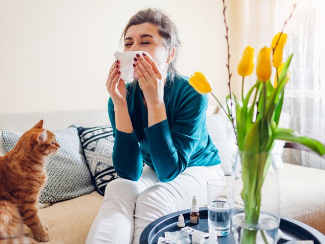 Снимка: istock