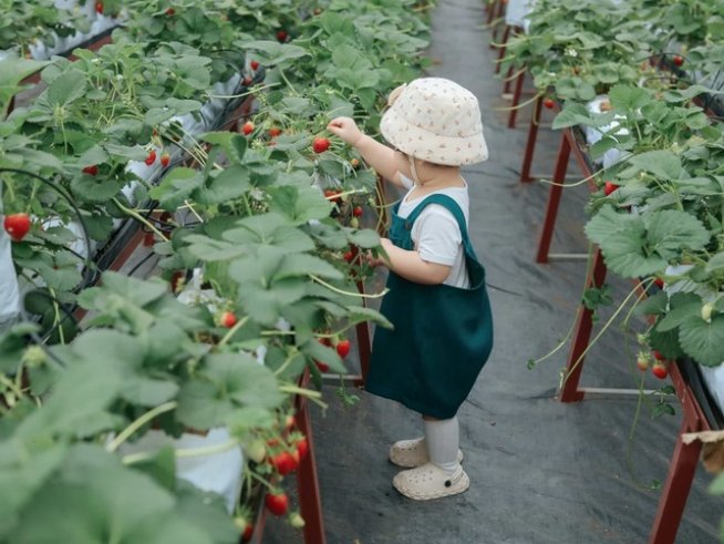 Снимка: Pexels.