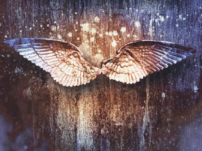 корица: издателство "ЕМАС"