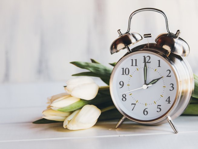 Снимка: istock