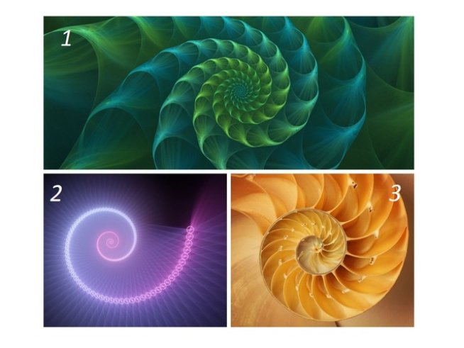 Илюстрации: istock