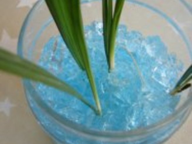 Еко почва – подходяща ли е?