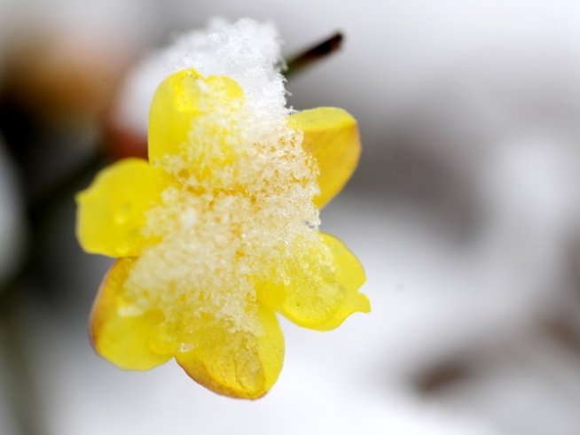 Снимка: Reuters