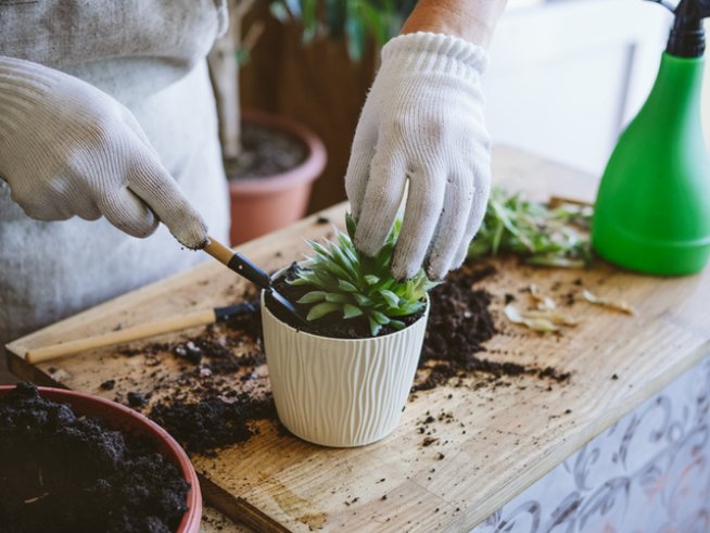 Снимка: istock