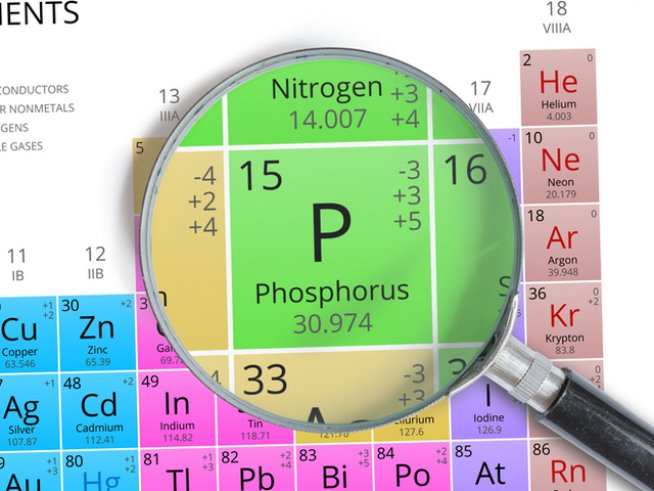 Снимка: istock