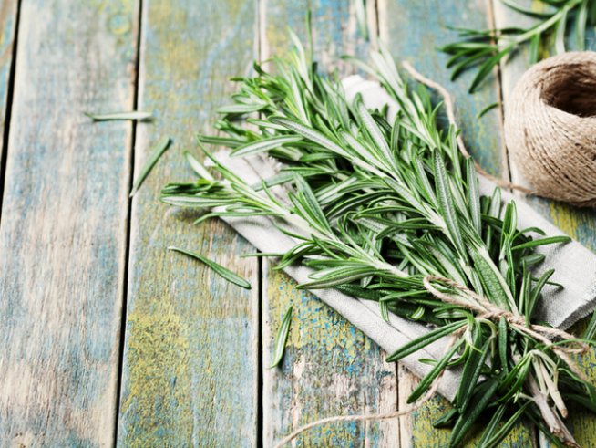 Розмарин, снимка: istock