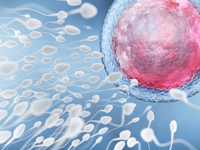 Снимка: istock