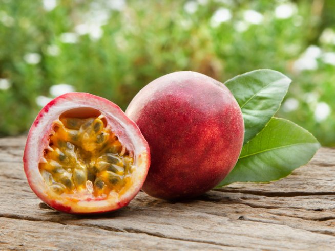 Снимка: istock