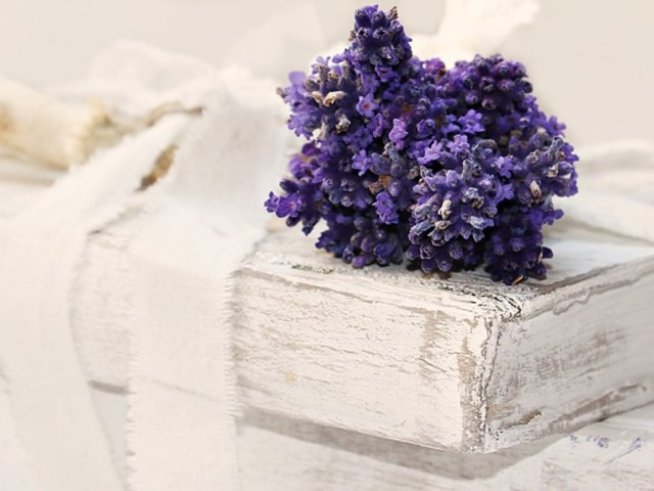 снимка: pixabay