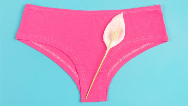 Снимка: iStock