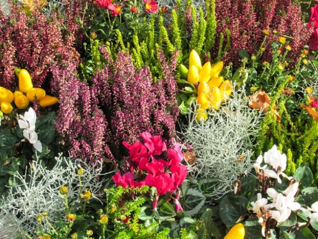 Снимка: Sxc.hu