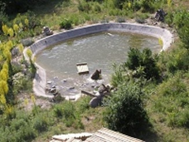 Танцуващи мечки в Белица