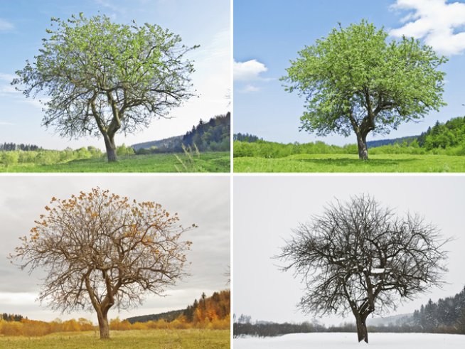 Снимка: thinkstock