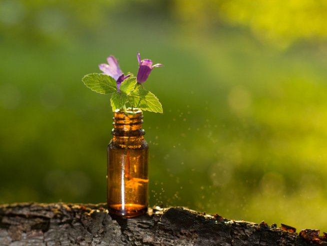 Снимка: istock