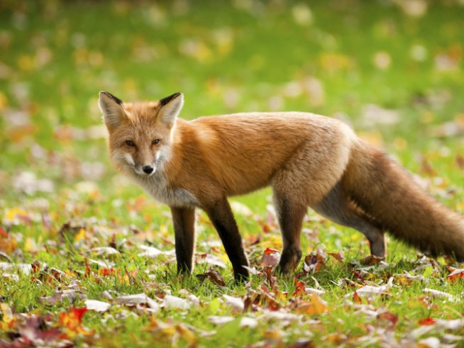 Снимка: thinkstock