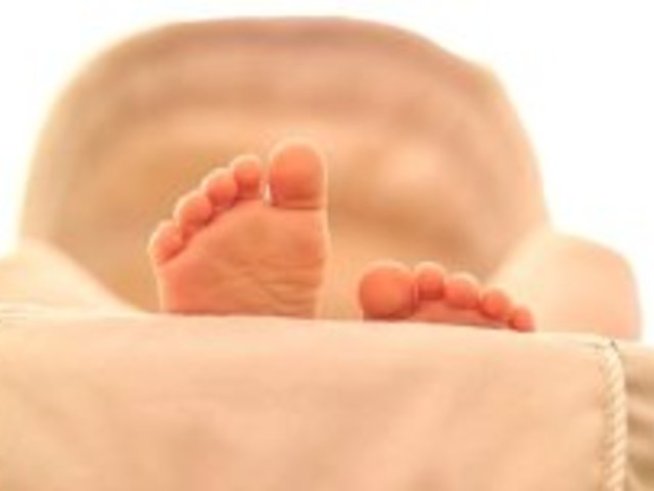 Колко ин витро бебета ще донесе Дядо Коледа около новата 2009 г.