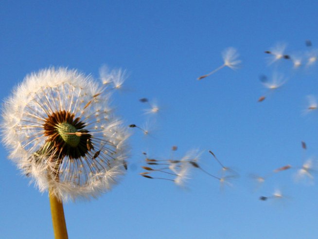 Снимка: Sxc.hu