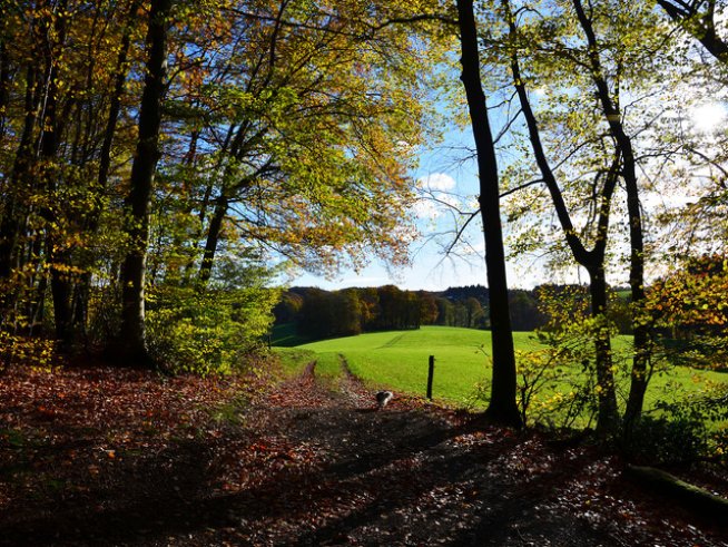 Снимка: Sxc.hu