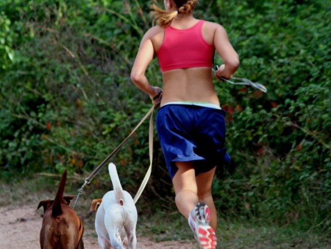 Снимка: Sxc.hu