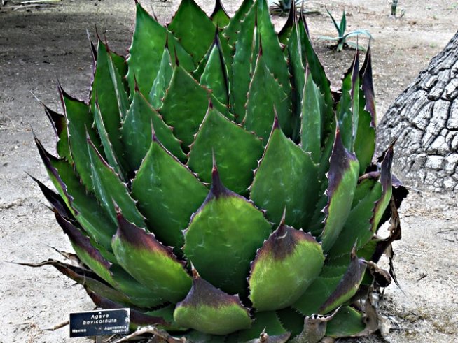 Снимка: Sxc.hu