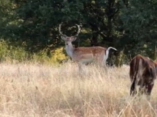 Снимка: Новините ON AIR