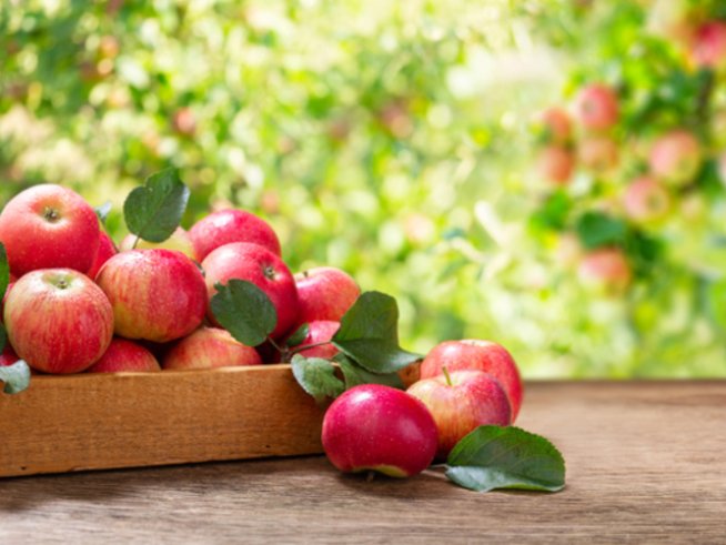 Снимка: istock