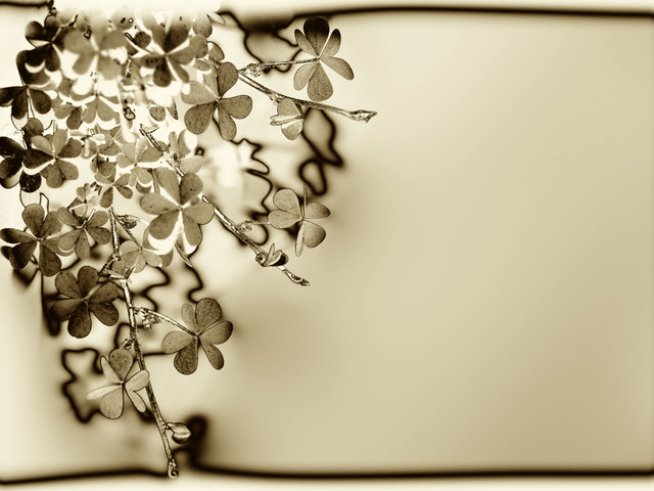 Снимка: Sxc.hu