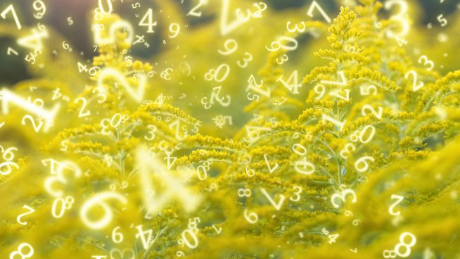 Нумерологична прогноза. Снимка: istock