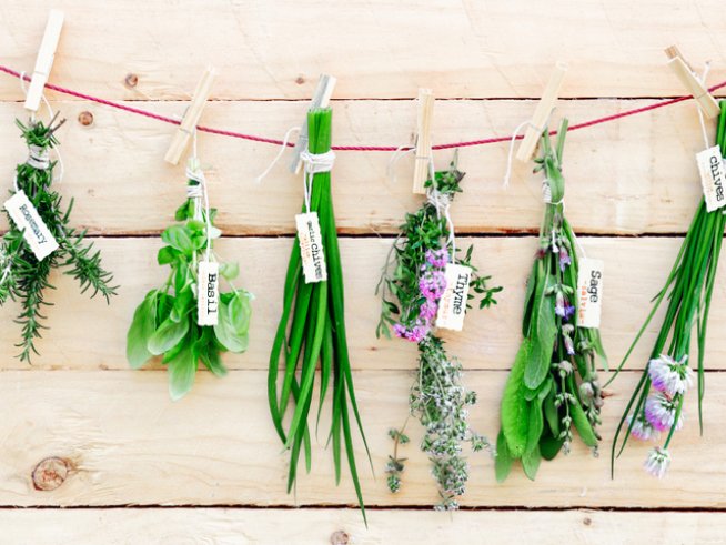 Снимка: istockphoto.com