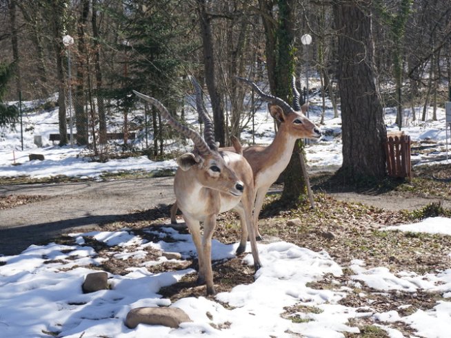 Снимка: Асен Игнатов.