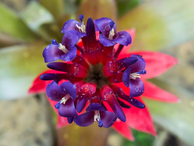 Снимка: Sxc.hu