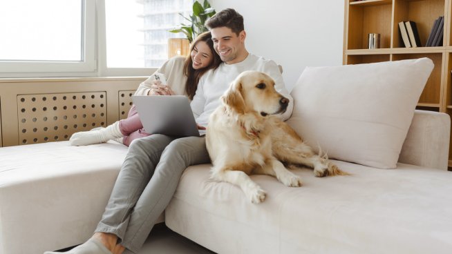 Покажете обич с чести докосвания и прегръдки. Снимка:istock