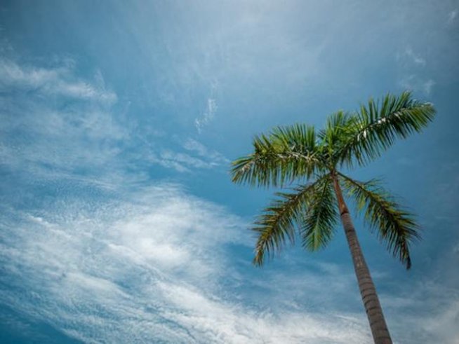 Снимка: pexels