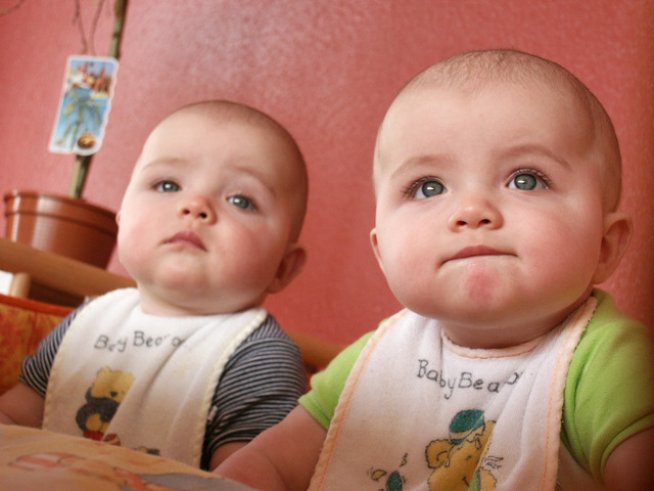 Снимка: Sxc.hu