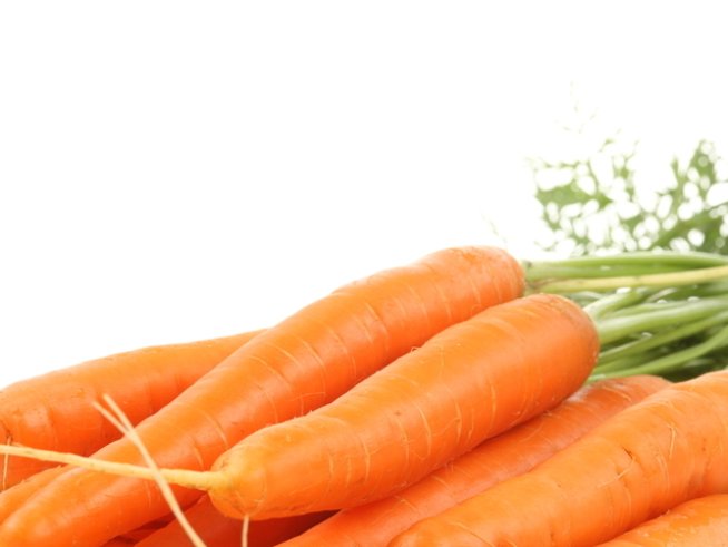 Снимка: photl.com