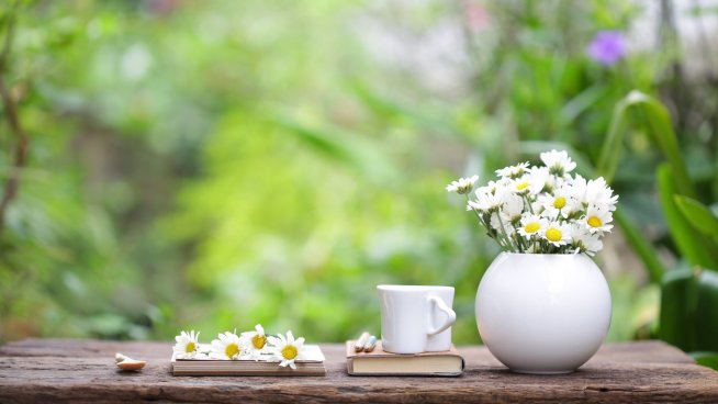 11 правила за живот от Петър Дънов.Снимка: istock