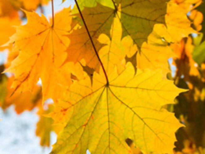 Есенни ритми