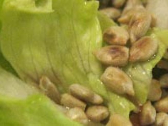 Храната на моето семейство