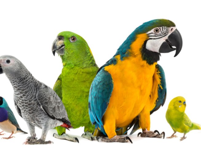 Снимка: istock