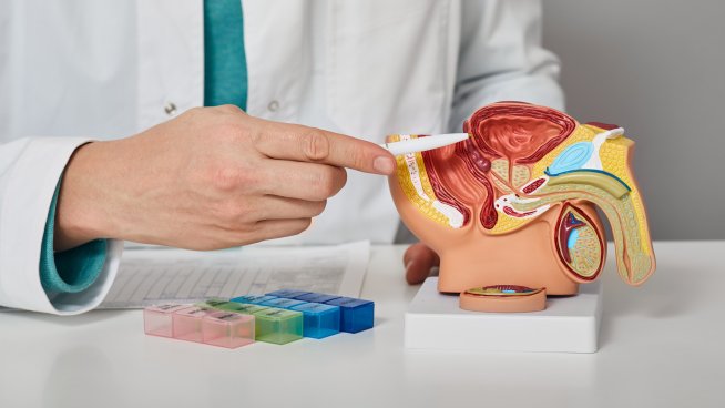 Снимка: istock